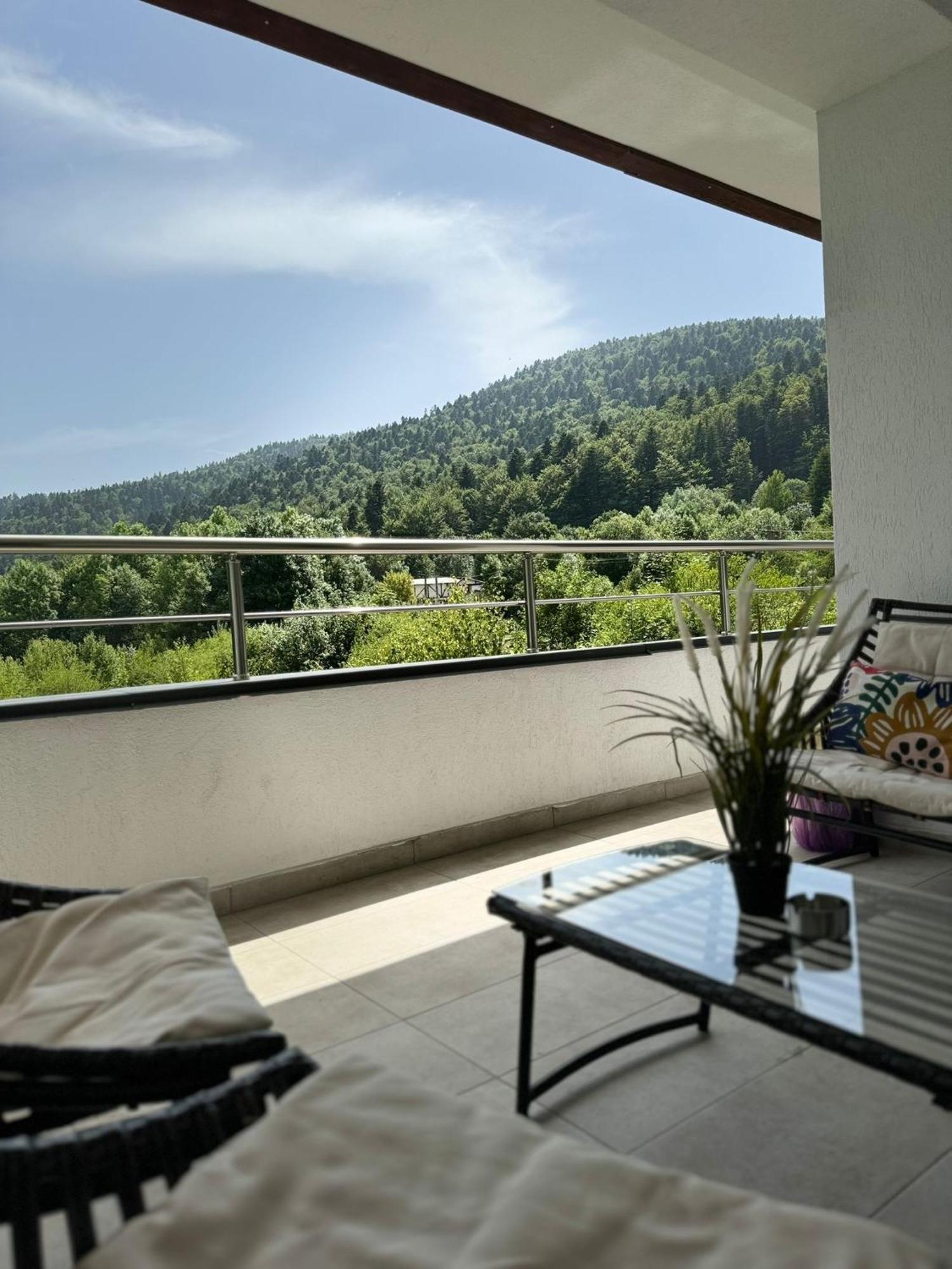 Relax View Ap With Private Parking Daire Sinaia Dış mekan fotoğraf